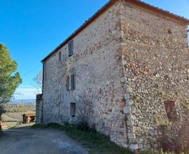Azienda agricola 250 ha Pisa colline