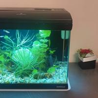 acquario newa 30