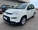 fiat-panda-iii-1-0-firefly-hybrid-s-s-70cv