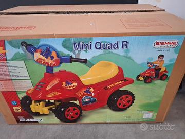 mini quad