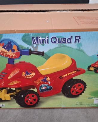 mini quad