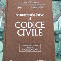 Commentario Breve al Codice Civile 2020
