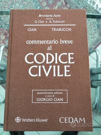 Commentario Breve al Codice Civile 2020