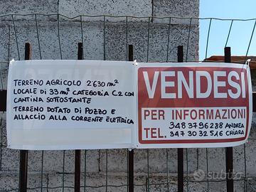 Terreno agricolo cat. C2