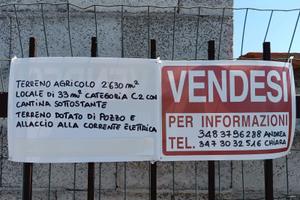 Terreno agricolo cat. C2