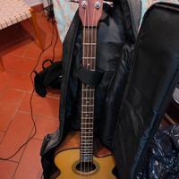Basso Cort Acustico