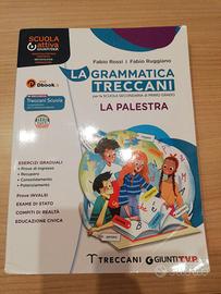 la grammatica treccani la palestra 9788809897250