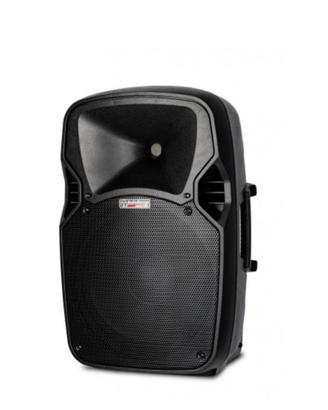Cassa Audiodesign M12 + Microfoni Debra AU200