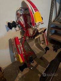 Telaio kart Birel Art 60