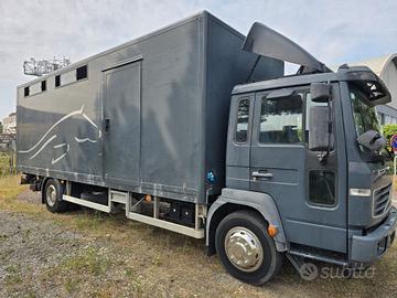 Van trasporto 5 cavalli VOLVO FL 6.12/250 HP