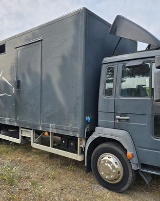 Van trasporto 5 cavalli VOLVO FL 6.12/250 HP
