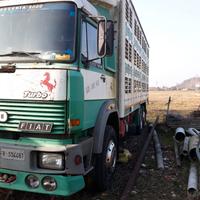 Camion bestiame