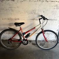 Bicicletta Mountain bike