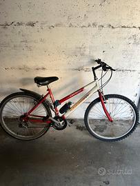 Bicicletta Mountain bike