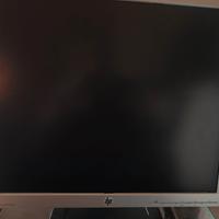 monitor 19"Hp