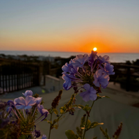 Camera matrimoniale con bagno privato