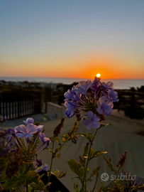 Camera matrimoniale con bagno privato