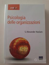 PSICOLOGIA DELLE ORGANIZZAZIONI 