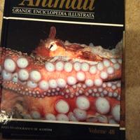 Grande Enciclopedia Illustrata Degli Animali Monda