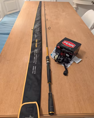 COMBO SPINNING MOLIX PENN