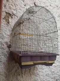 cabbia uccelli cell 3760746302 