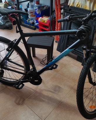 MTB misura 54