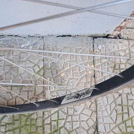 cerchioni bicicletta 