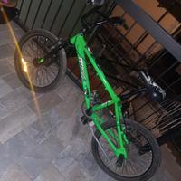 Bmx Gladius