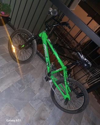 Bmx Gladius