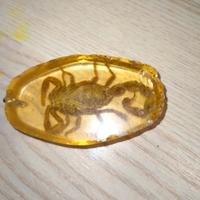 Scorpione portachiavi