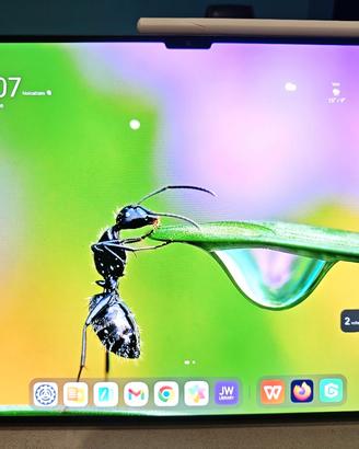 Huawei Mate pad Pro 13.2 pollici