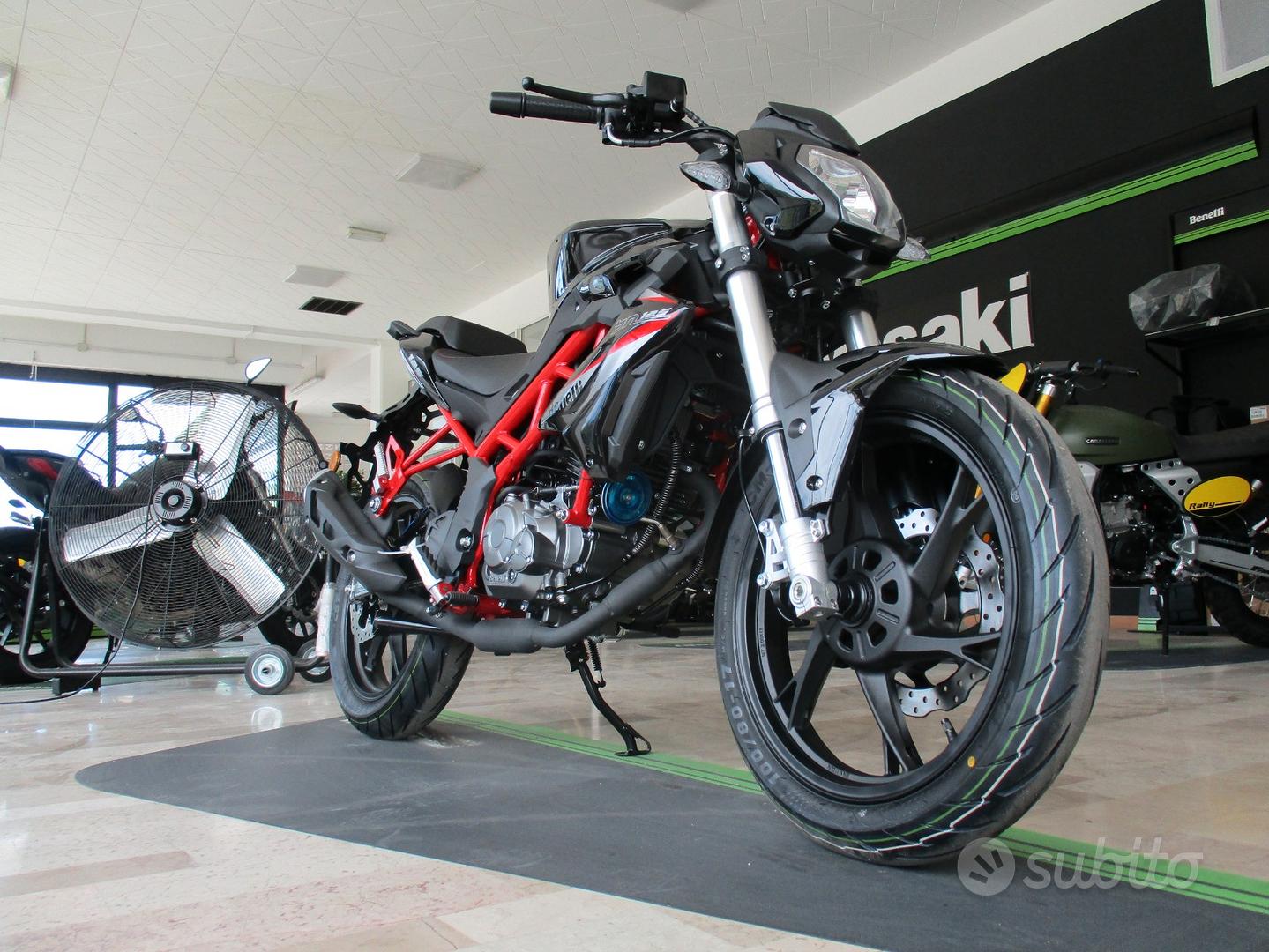 benelli bn 125 tail tidy