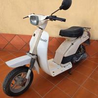 Benelli S50