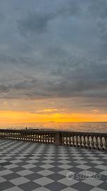 Reception/cameriere/operaio