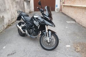 Benelli Trk 251 - 2023