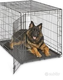 kennel 