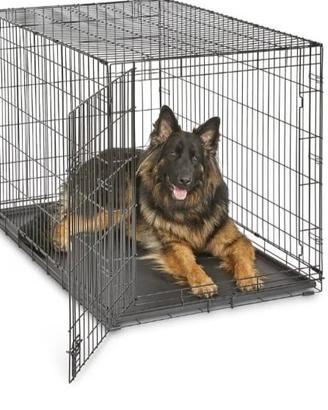kennel 
