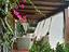 Immagine 16