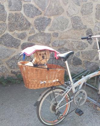 Bicicletta pieghevole Dahon 20 pollici Shimanao
