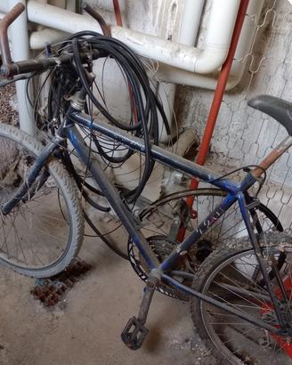  bicicletta mtb 
