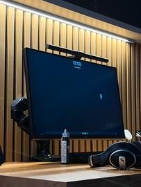 Monitor gaming dell