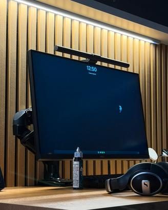 Monitor gaming dell