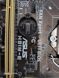 Scheda Madre ASUS H81M-E 