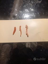 Tre  piccoli ciondoli di corallo autentico 