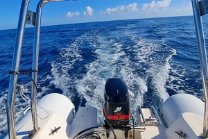 Mercury lightning XR 40 cv