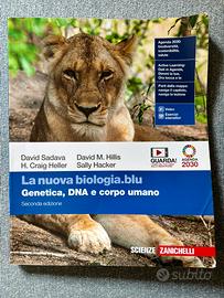 Libri