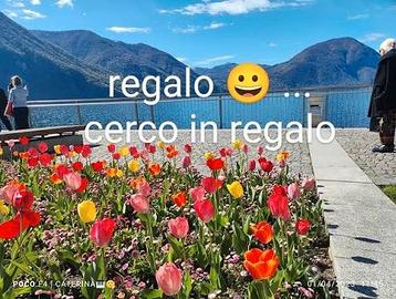 SEGGIOLINO AUTO HELP!