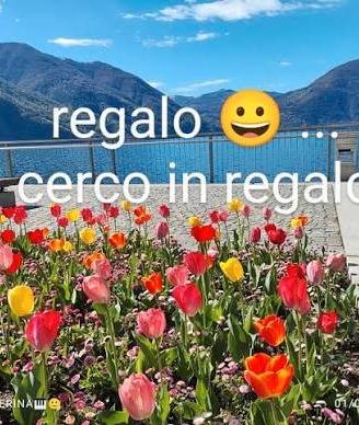 SEGGIOLINO AUTO HELP!