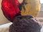 Immagine 1