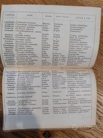 Piante e droghe medicinali-1915